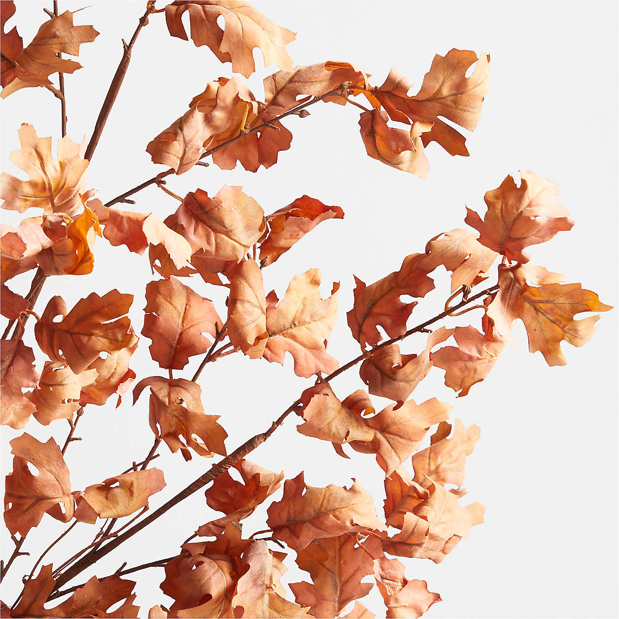 Faux Orange Oak Leaf Branch 66" + Reviews | Crate & Barrel | Crate & Barrel