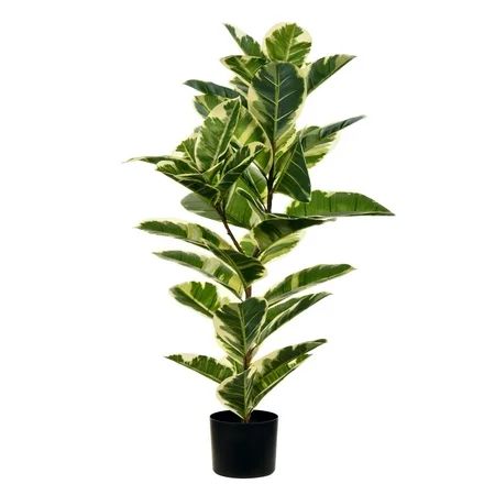 Vickerman Everyday 38 Artificial Potted Dieffenbachia Tree - Lifelike Home Or Office Decor - Premium | Walmart (US)