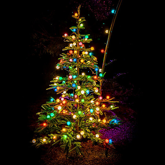 Stargazer Garden Lights Color Story Bulbs, Set of 21 Bulbs Only | Terrain