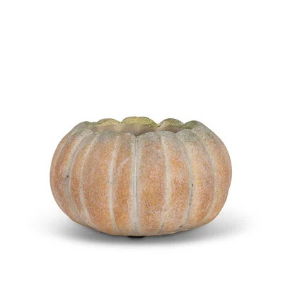 Burcker Statue Planter | Wayfair North America