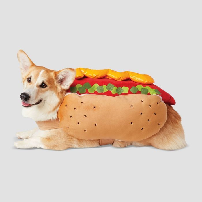 Hot Dog with LED Dog Costume - Hyde & EEK! Boutique™ | Target