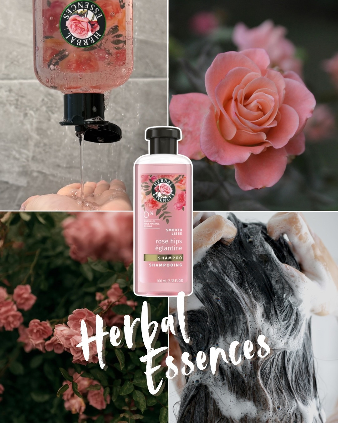 Stop scrolling if you love soft, rose-scented hair 🌹

Soft hair and floral vibes. My hair has been loving the Rose hydration from Herbal Essences. Smooth,shiny and smells amazing all day. 

@herbalessences 

#complimentary #herbalessences #scenttrap #rosehipshaircare
