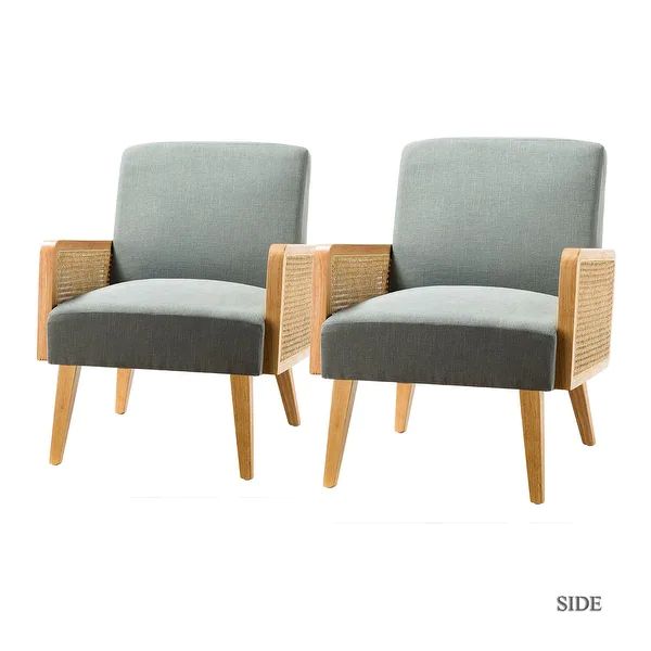 Delphine Cane upholstered Accent Chair with Tapered Leg ,set of 2 | Bed Bath & Beyond