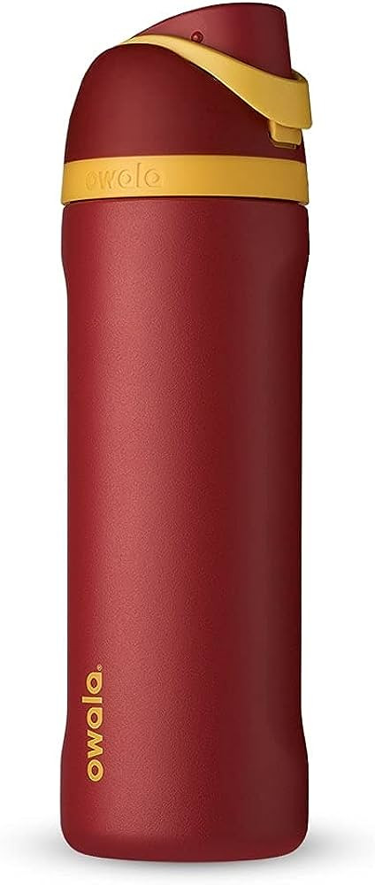 Owala Harry Potter FreeSip Insulated Stainless Steel Water Bottle with Straw, BPA-Free Sports Wat... | Amazon (US)