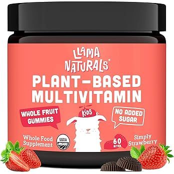 Whole Fruit Gummy Vitamins for Kids No Added Sugar, Vegan Kids Multivitamin Gummies, Plant Based ... | Amazon (US)