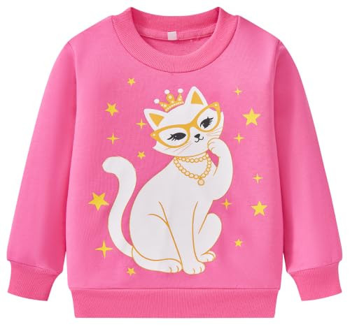 Akyzic Cat Sweatshirt for Girls Pink Shirt Pullover Tops Kitten Sweater 3t | Amazon (US)