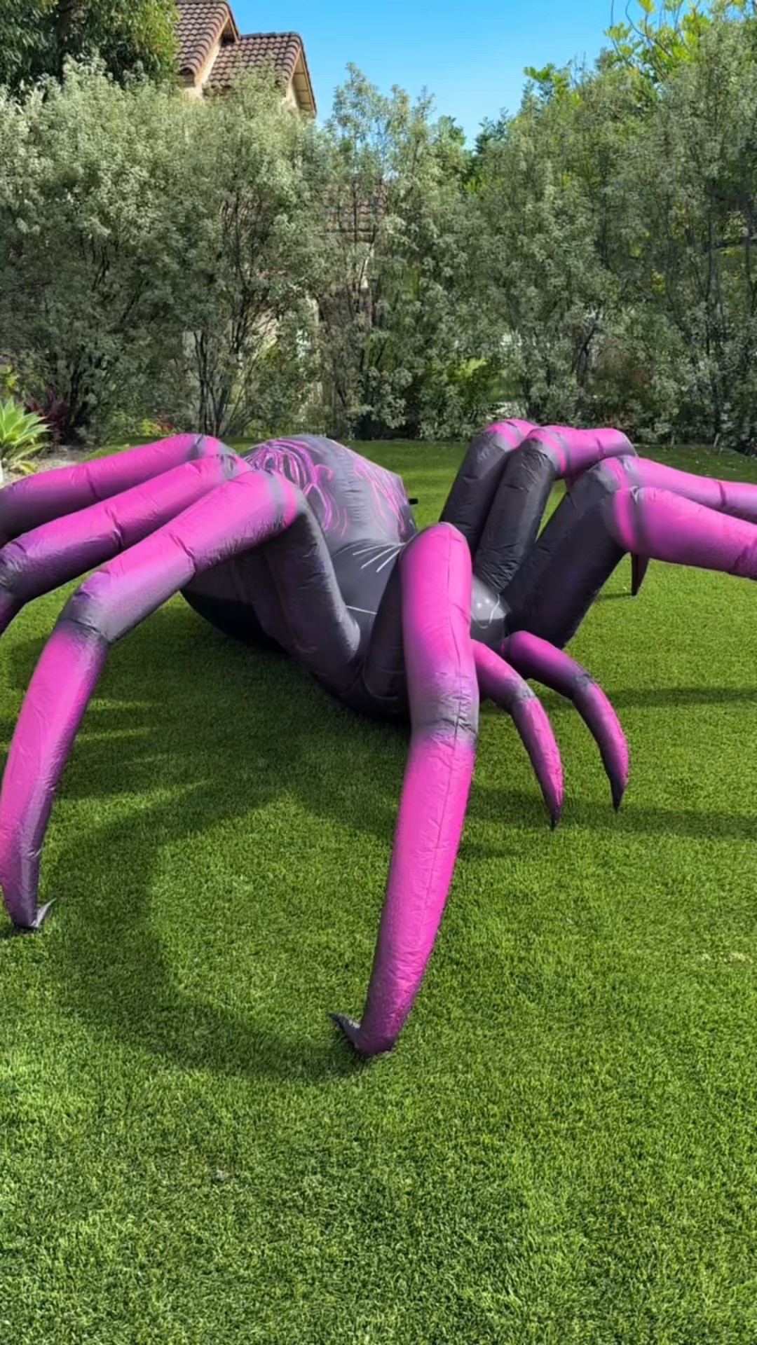 This is such a cool spider for Halloween The price can’t be beat! #halloween #spider #halloweendecorations #halloweendecor 

#LTKHome #LTKSeasonal #LTKFindsUnder50