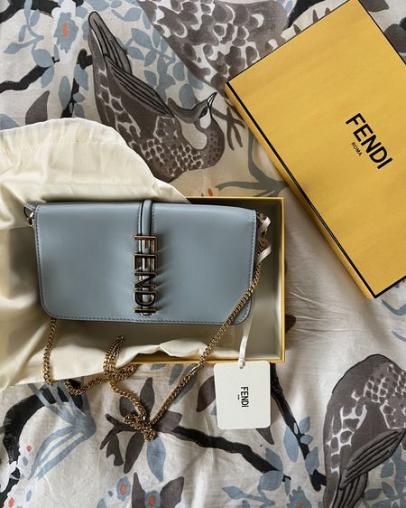 Literally the prettiest blue crossbody purse from Fendi! My husband bought this from Cettire  but they don’t have it anymore. BUT I found it on another European site on sale right now!
-
Luxury bag - crossbody bag - leather clutch - blue evening bag - blue leather clutch with gold chain - Fendi Roma - Cettire - Fendi bag sale - wedding something blue - Fendigraphy wallet on chain blue leather 

#LTKItBag #LTKWedding #LTKStyleTip