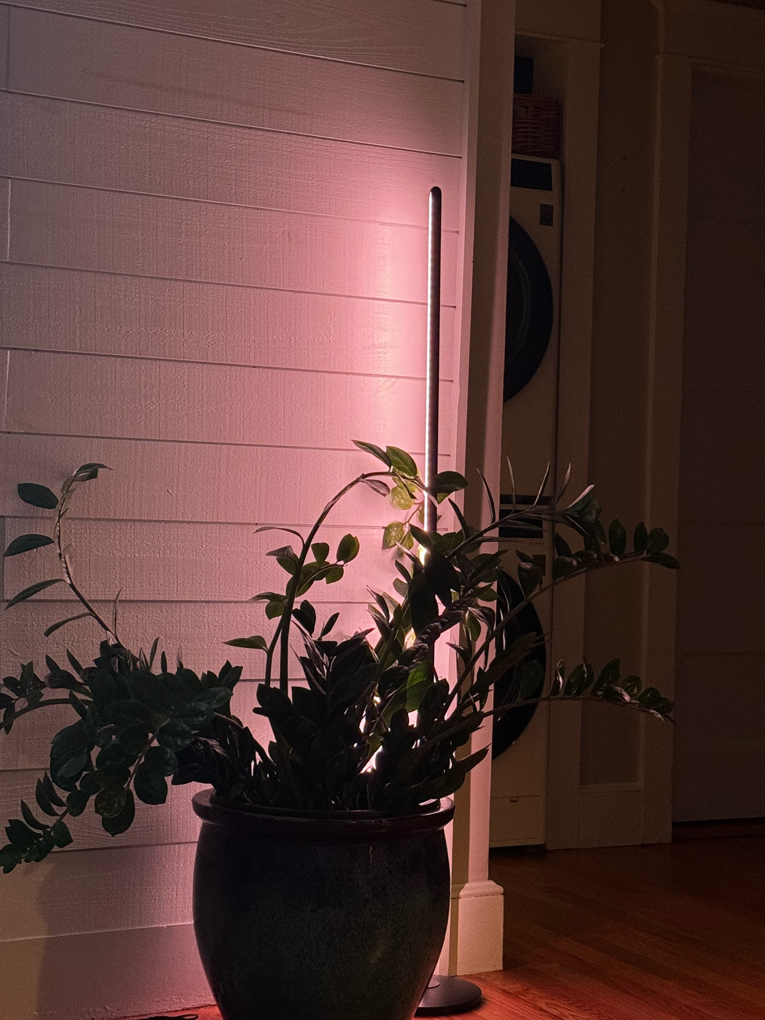 Want to achieve the cozy feel? This floor lamp is so customizable & givessss cozy!