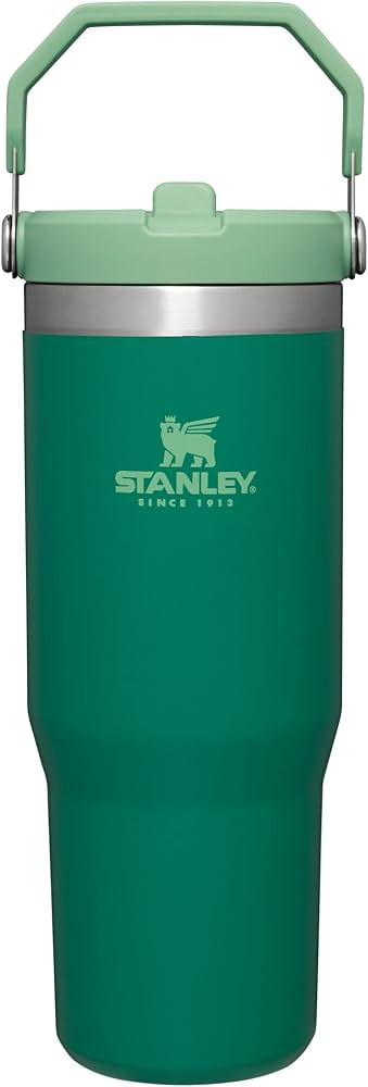 STANLEY IceFlow Stainless Steel Tumbler with Straw, Vacuum Insulated Water Bottle for Home, Offic... | Amazon (US)