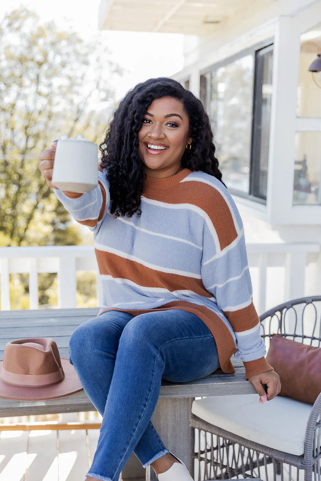 Get What You Want Brown And Blue Striped Sweater | Pink Lily