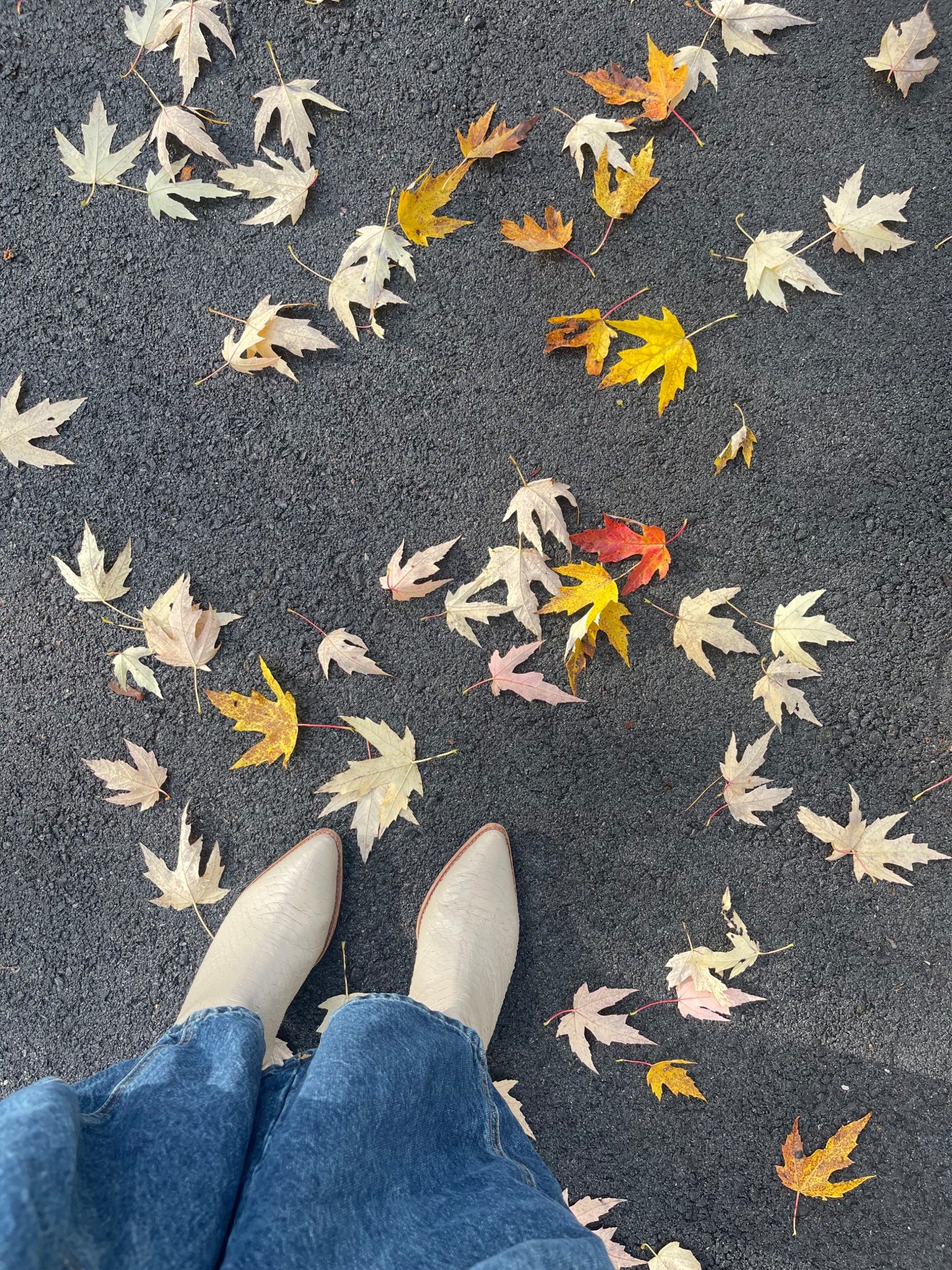 🍁 👢 

#LTKStyleTip #LTKSeasonal #LTKShoeCrush