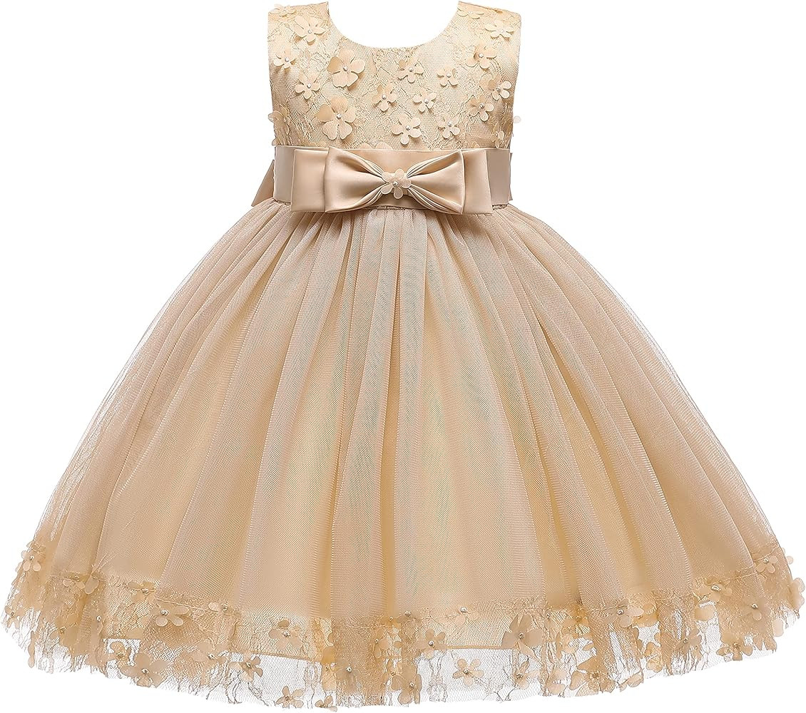 Weileenice Holiday Big/Little Girl Flower Lace A-line Wedding Party Dresses Kids Pageant Birthday... | Amazon (US)