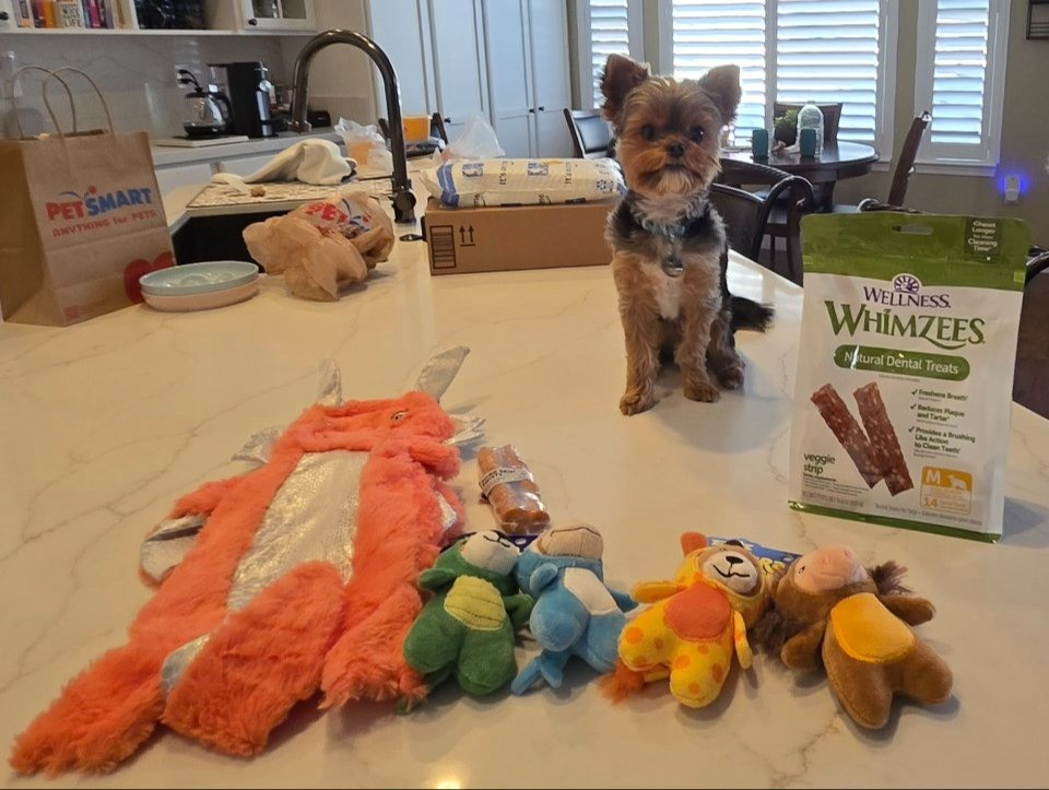 Our birthday boy got treated to a shopping spree at Petsmart!

#LTKHome #LTKmomlife #LTKdayinmylife