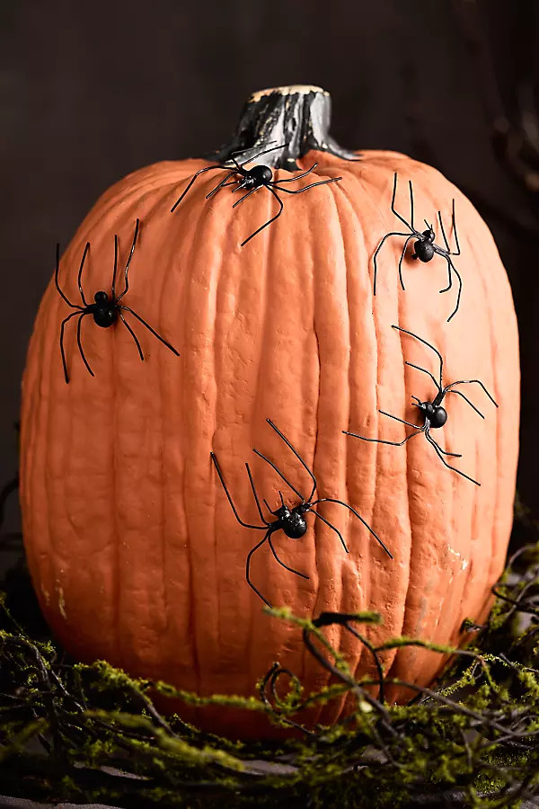 Spooky Spider Pumpkin Stakes, Set of 5 | Anthropologie (US)
