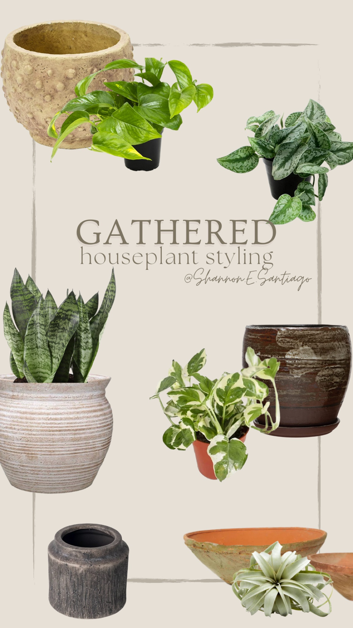 houseplant styling, organic modern decor, plants, pots and planters, spring decor, cottage core aesthetic, cottage core plants

#LTKhome #LTKSeasonal #LTKstyletip