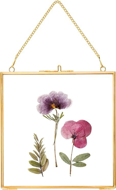 REDHUGO Glass Pressed Flower Frames,Vintage Hanging Picture Frames with Chain,Handmade Brass Floa... | Amazon (US)