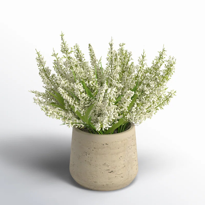 Lavender in Pot | Joss & Main