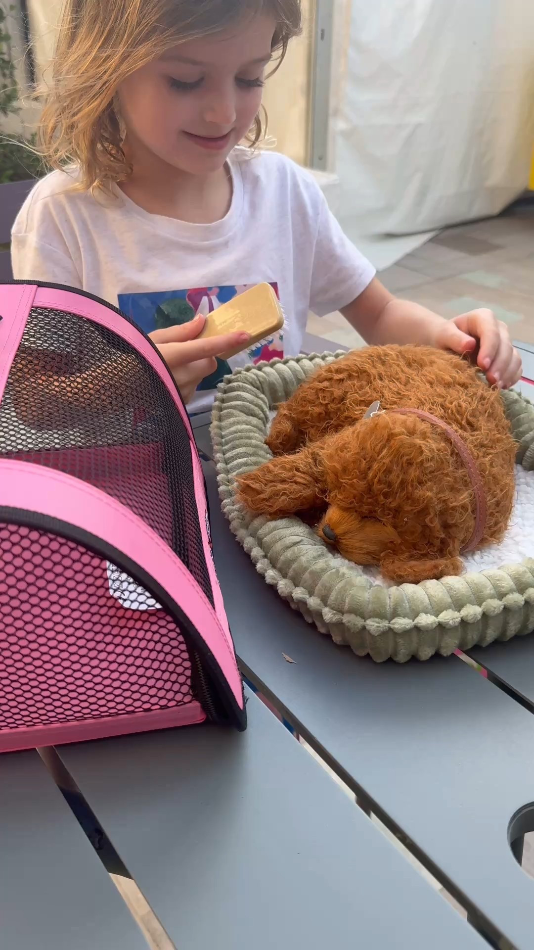 Super fun gift for the pet-loving kids in your life!  Comes in all different breeds, includes a bed and brush, the bed and other accessories sold separately. 



#LTKKids #LTKFindsUnder50