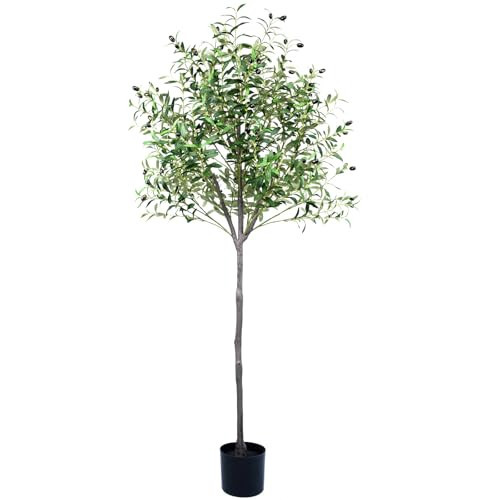 Artificial Olive Tree 6ft, Olive Tree Artificial Indoor, Faux Olive Trees Indoor 6 Feet, Fake Olive Tree, Artificial Olive Trees for Home Decor Indoor Artificial Tree Plant | Amazon (US)