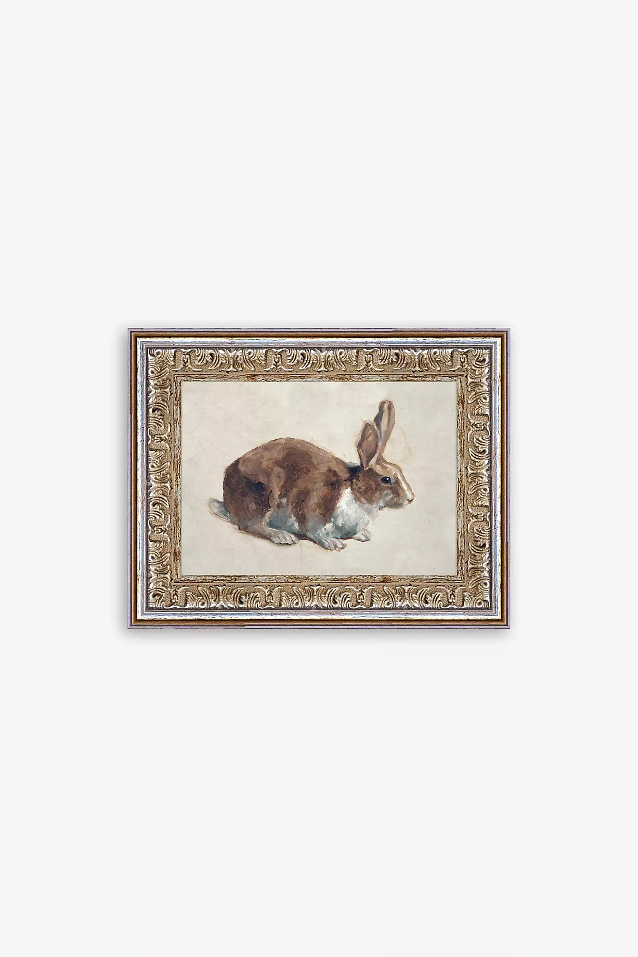 Rabbit Wall Art | Anthropologie (US)