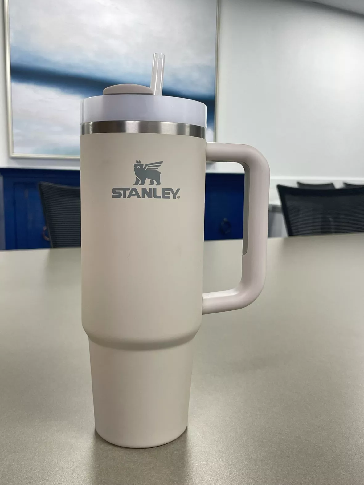 Is the Stanley Adventure Quencher Worth the Hype?