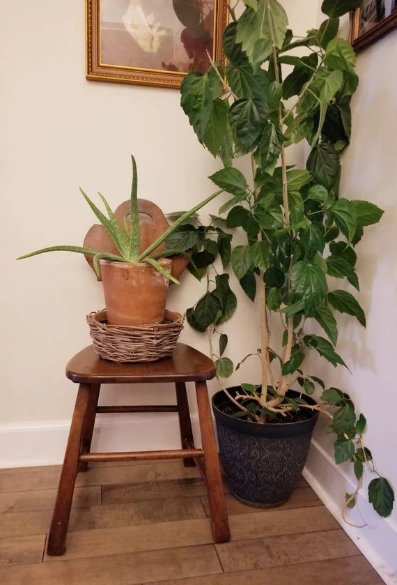 Vintage Brutalist / Mid Century / Wabi Sabi Handcrafted Chair | Etsy | Etsy (US)