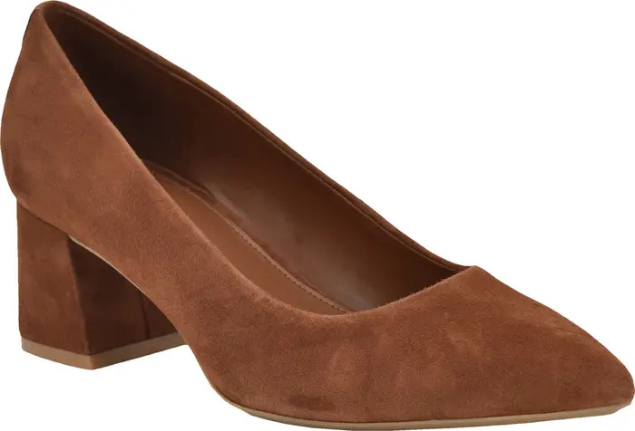 Lenott Pointed Toe Pump (Women) | Nordstrom