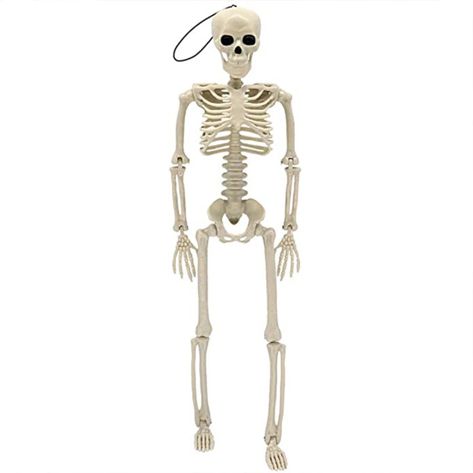 Beautynvta Posable Halloween Skeletons Decor, 15''x4.7'' Small Hanging Skeleton with Movable Join... | Walmart (US)