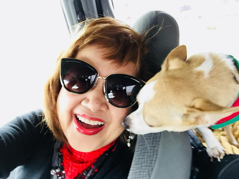  Our little chihuahua knows just how to brighten my day! He rules our household too. 

 

#LTKselfcare #LTKHome #LTKdayinmylife