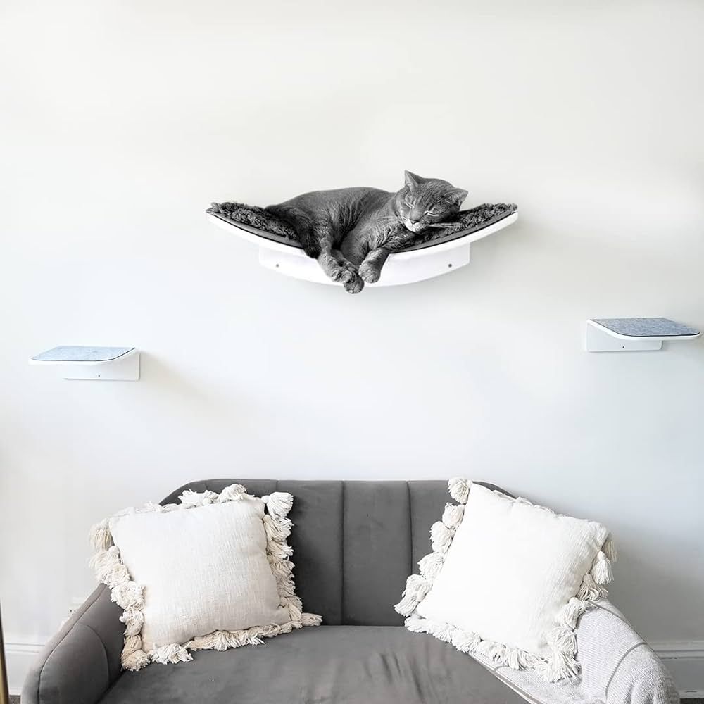 bqw Floating Cat Shelf Wall Mounted Cat Bed Furniture Climbing Wall for Cat Perching Sleeping Lou... | Amazon (US)