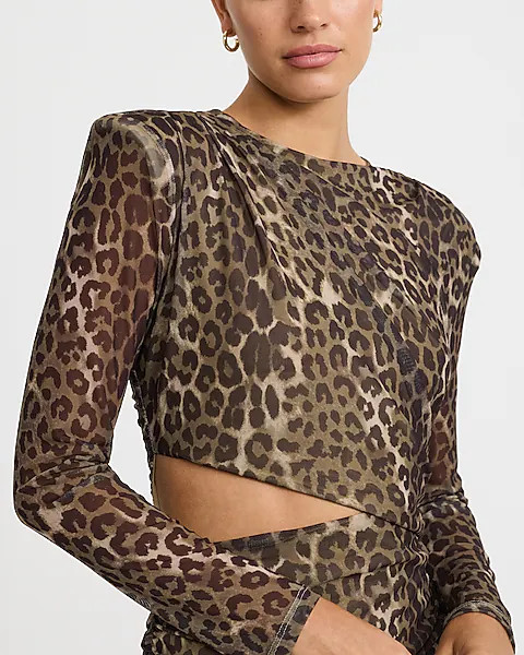 Mesh Leopard Crew Neck Long Sleeve Cutout Mini Dress | Express