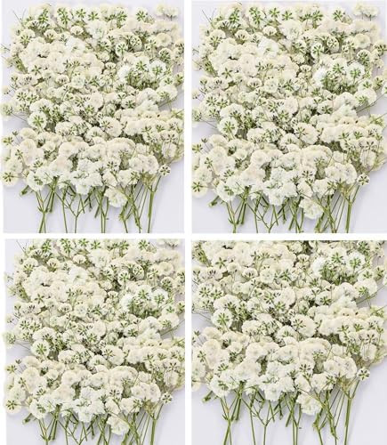 Dried Baby' s Breath Flowers Bulk - 120Pcs Pressed Babys Breath for Invitations, Resin Art & DIY ... | Amazon (US)