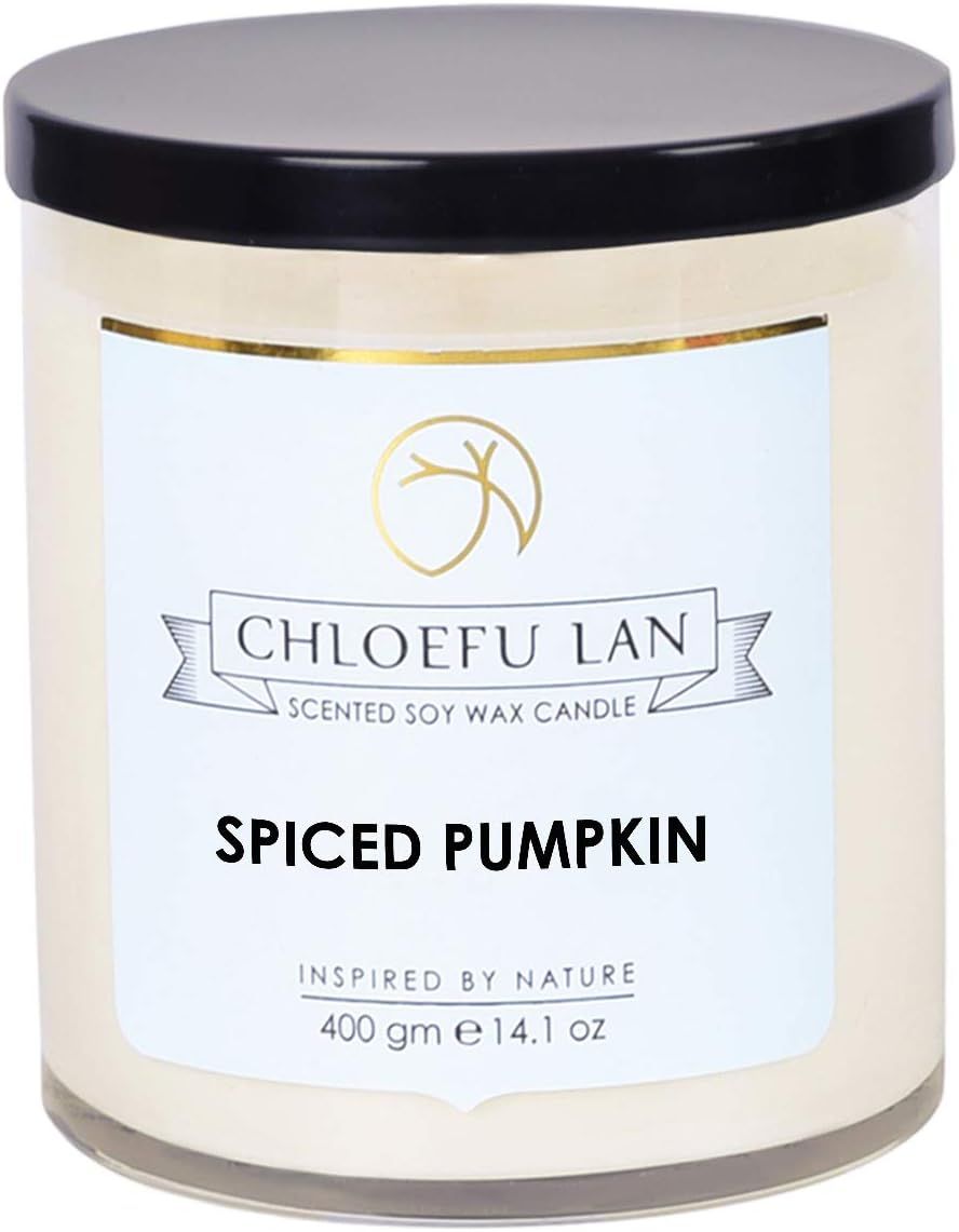 Chloefu LAN Farmhouse Spiced Pumpkin Candle Fall Candles Large Jar, 100% Natural Soy Candle for H... | Amazon (US)