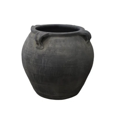 11.5" Ceramic Pot Planter | Wayfair North America