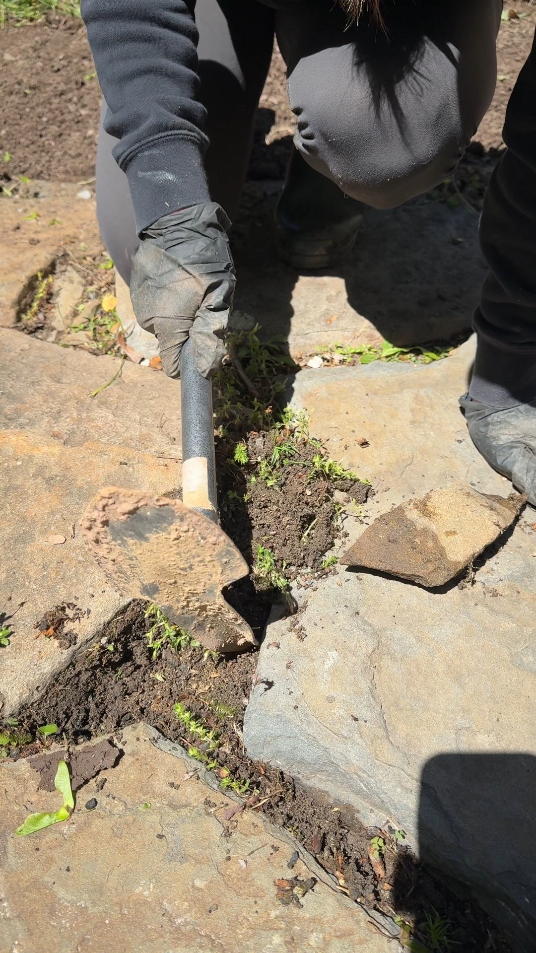 This little pick shovel combo is a game-changer for tackling weeds! #gardeningtools #homegarden #weedingtool

#LTKSeasonal #LTKHome