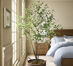 Faux Potted Gypsophilia Tree | Pottery Barn (US)