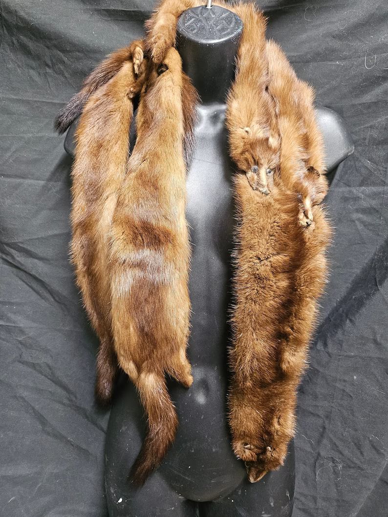 5-pelt Vintage Whole Mink Fur Stole Wrap Scarf With Heads Tails Feet / 55 Full Pelt Brow Mink Fur... | Etsy (US)