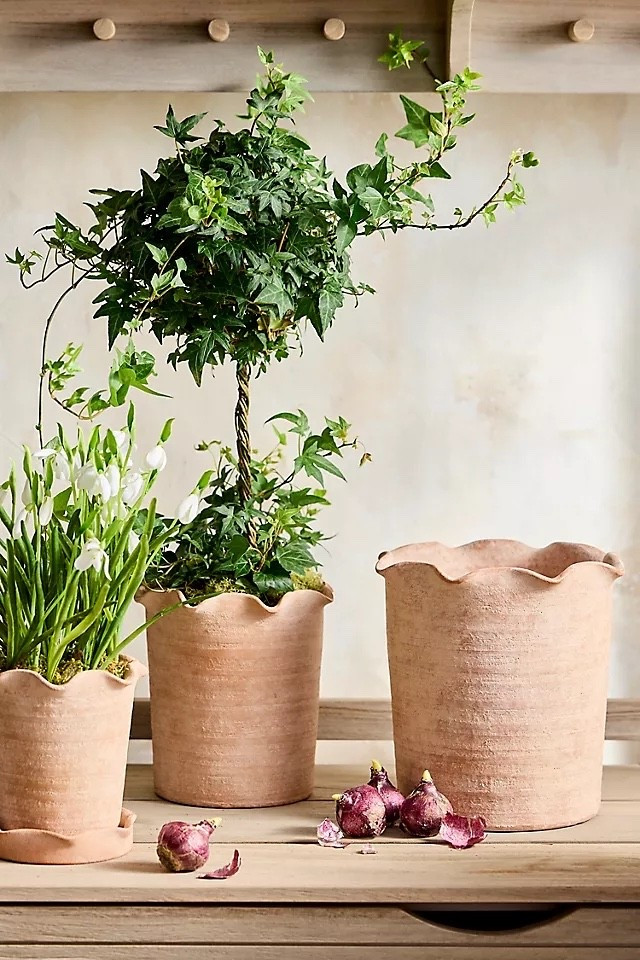 Charming French-inspired ruffled pots! LOVE!!

Home decor, spring decor, outdoor decor, patio decor, planters 

#LTKSeasonal #LTKHome