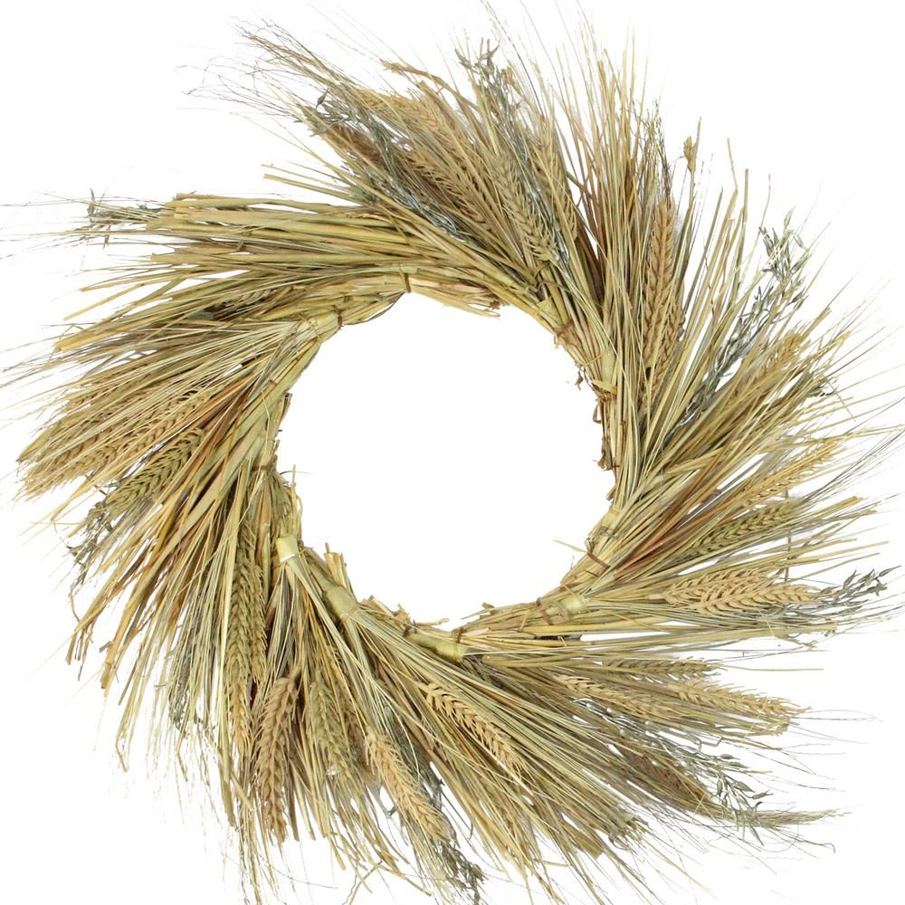 22 in. Unlit Autumn Harvest Wheat Grass and Grapevine Thanksgiving Fall Wreath | The Home Depot