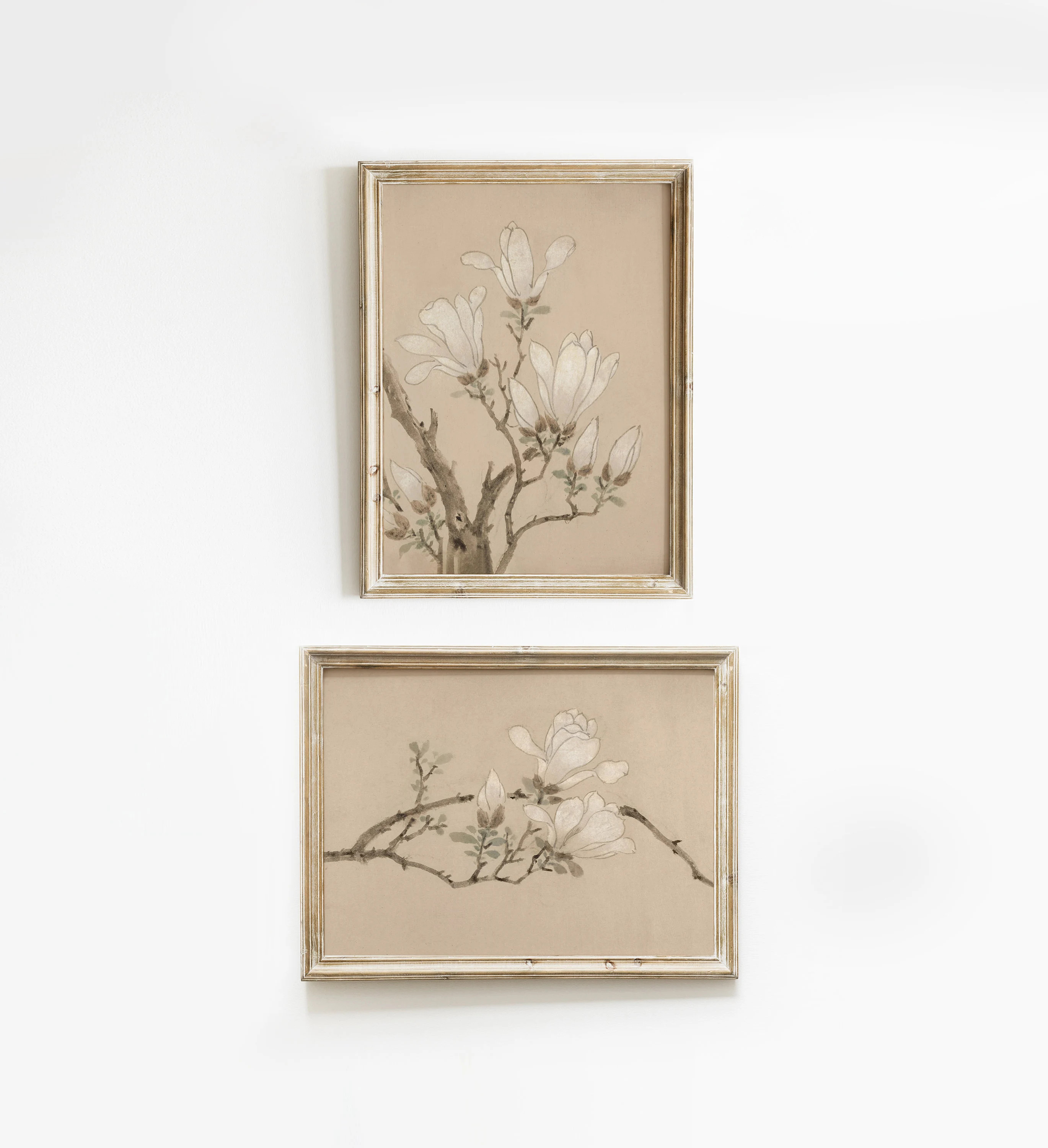 Vintage Botanical Print SET of Two, Antique Neutral Farmhouse Decor, Vintage Flower Print Art, Cottage Decor, Floral Nursery Wall Art #452 | Etsy (Global)