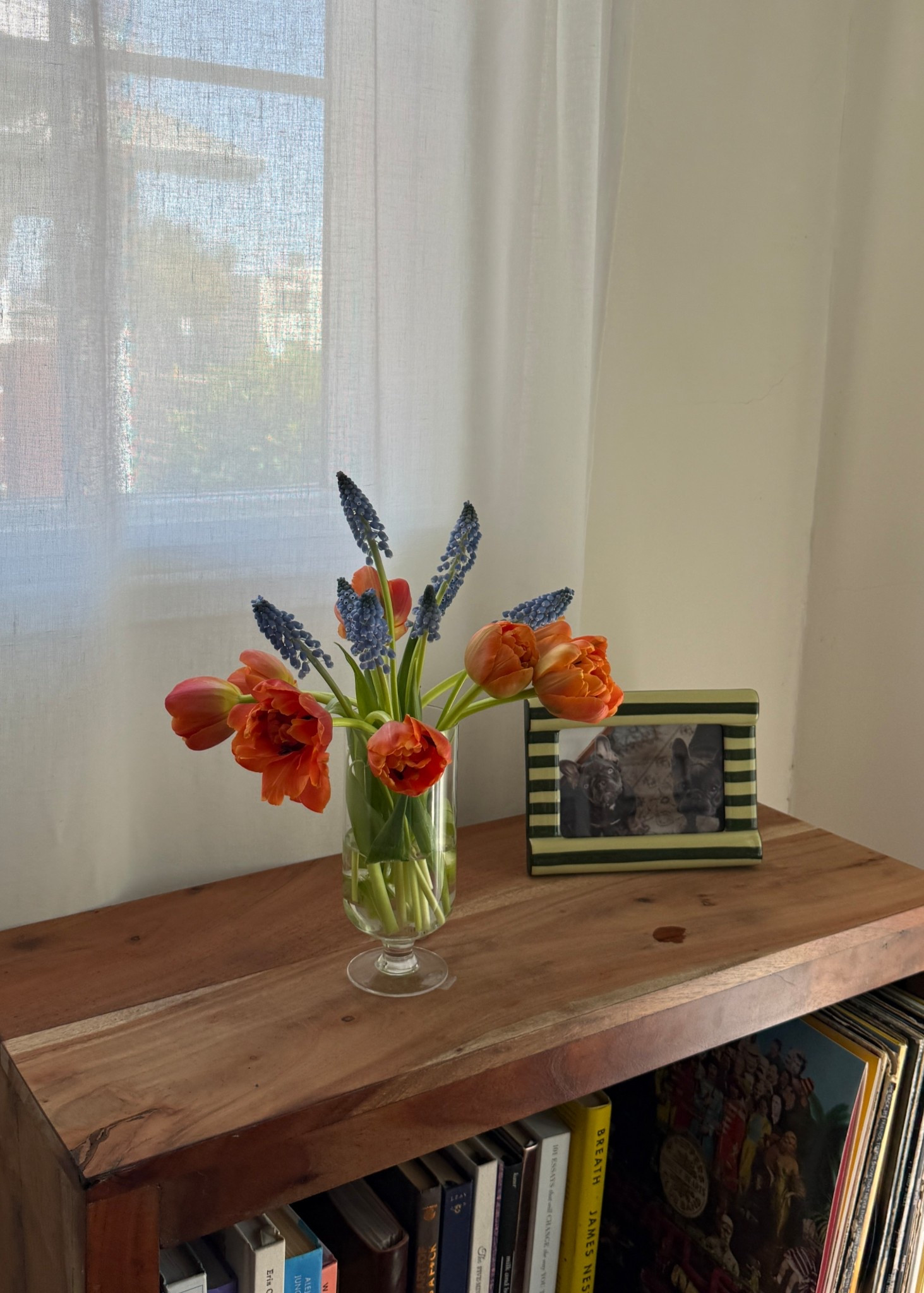 Favorite new frame from Anthro! 🥝

#LTKHome #LTKdayinmylife