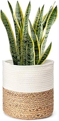 Mkono Cotton Rope Plant Basket with Water Hyacinth Modern Indoor Planter Up to 10 Inch Pot Woven ... | Amazon (US)