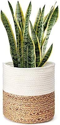 Mkono Cotton Rope Plant Basket with Water Hyacinth Modern Indoor Planter Up to 10 Inch Pot Woven ... | Amazon (US)