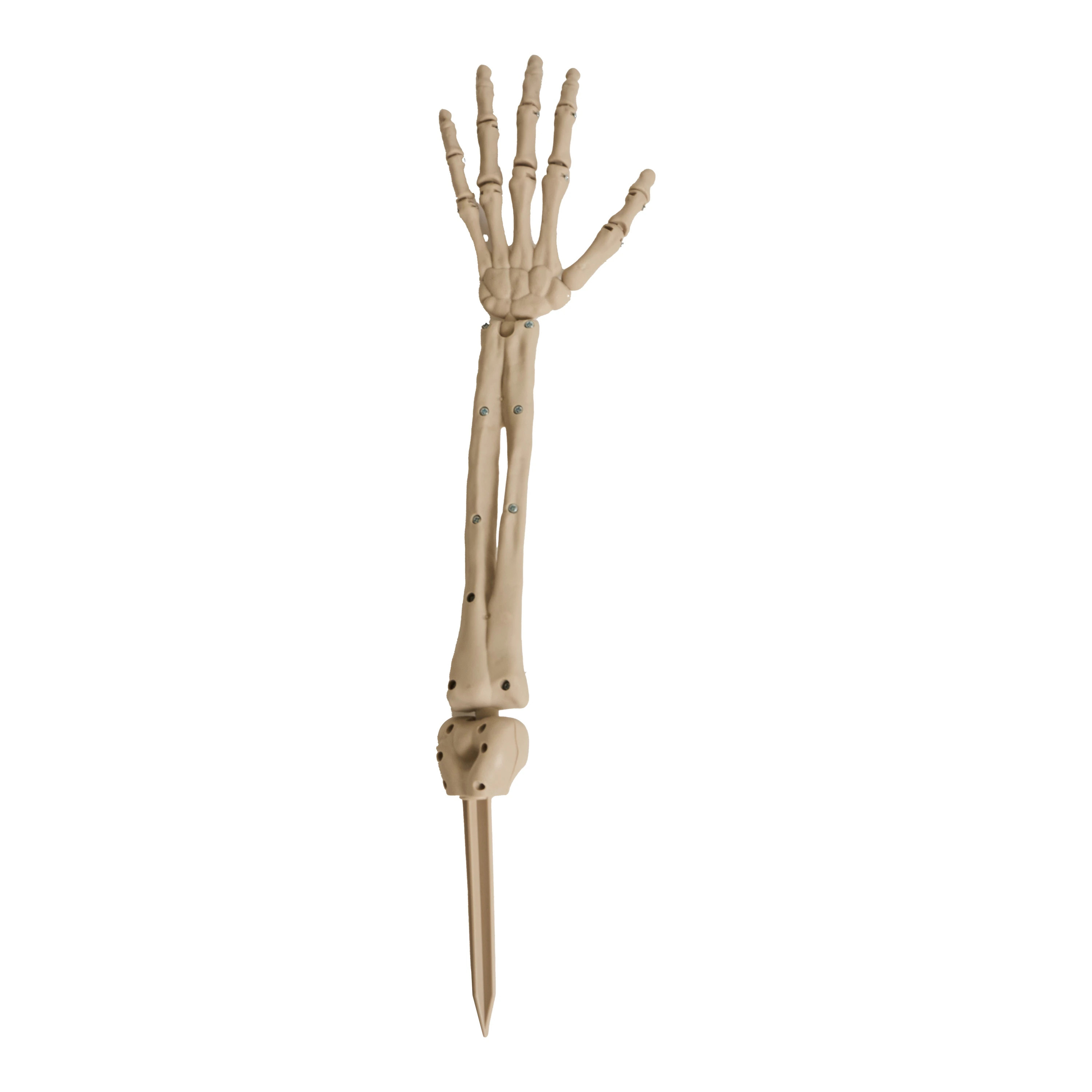Haunted Living 22.83-in Freestanding Skeleton Door decoration Sculpture 18 -Pack one_size in White | KL-37124 | Lowe's