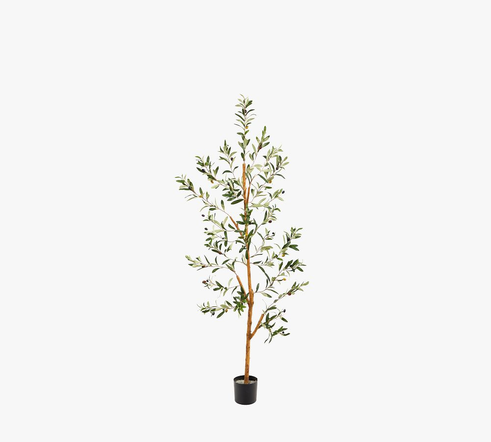 Faux Olive Tree | Pottery Barn (US)