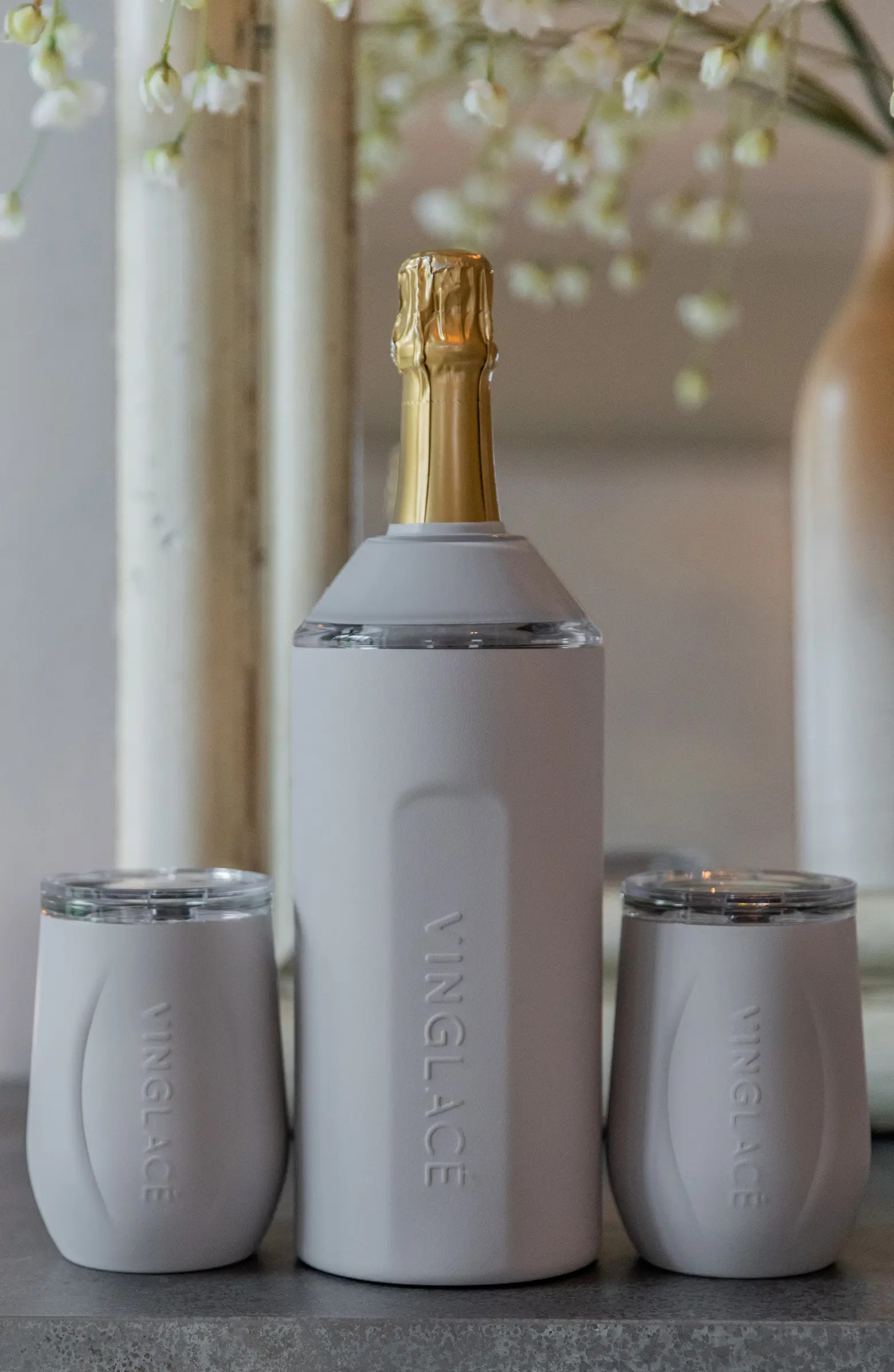 Wine Bottle Chiller & Tumbler Gift Set | Nordstrom