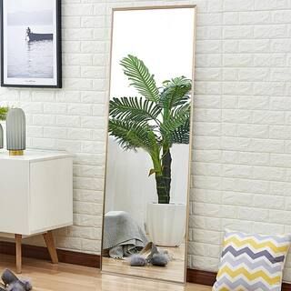 Oversized Gold Metal Beveled Glass Modern Classic Mirror (64.17 in. H X 21.26 in. W) | The Home Depot