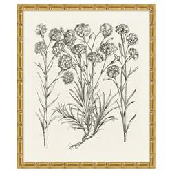Amanda French Country Black Floral & Botanical Gold Frame Illustration 13 | Kathy Kuo Home