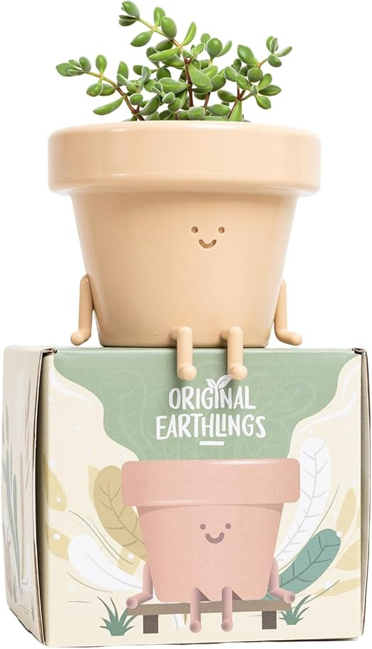 Original Earthlings Sitting Pot - 3.5 Inch Cute Plant Pot - Plastic Funny Planter with Drainage -... | Amazon (US)